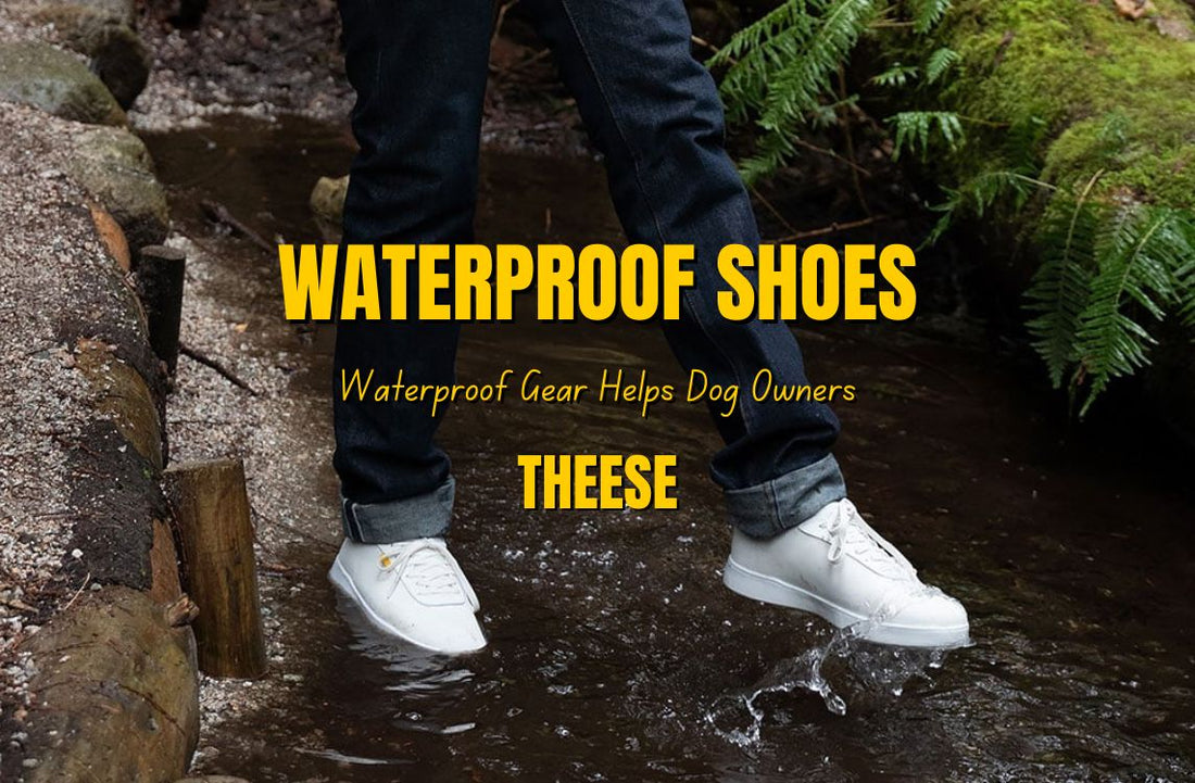 Waterproof Gear Helps Dog Owners Out for Walks