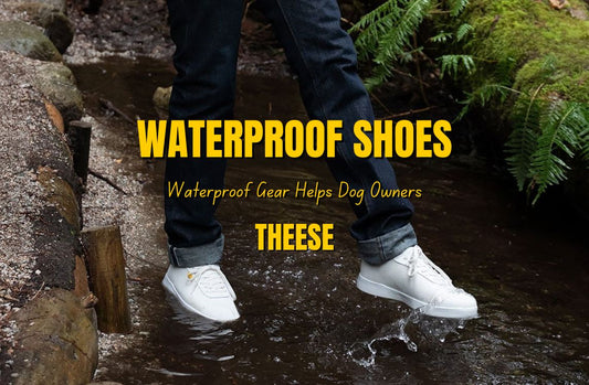 Waterproof Gear Helps Dog Owners Out for Walks