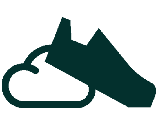 cloud and waterproof shoe icon