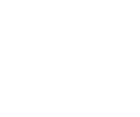 Heel and Ankle Support Icon 